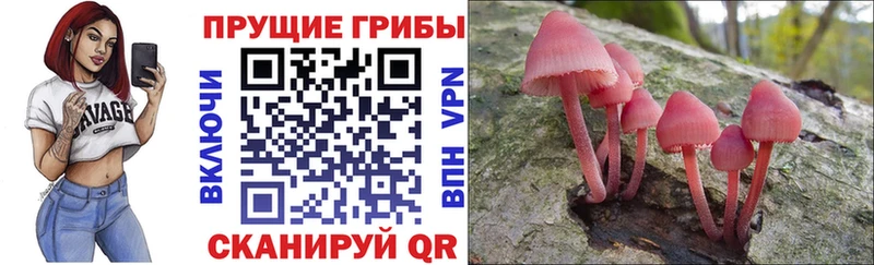 блэк спрут вход  Кумертау  Псилоцибиновые грибы ЛСД 