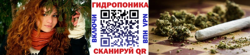 Шишки марихуана сатива  Кумертау 